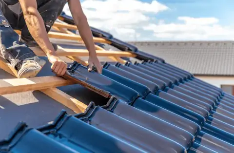 Couverture - Fleurines